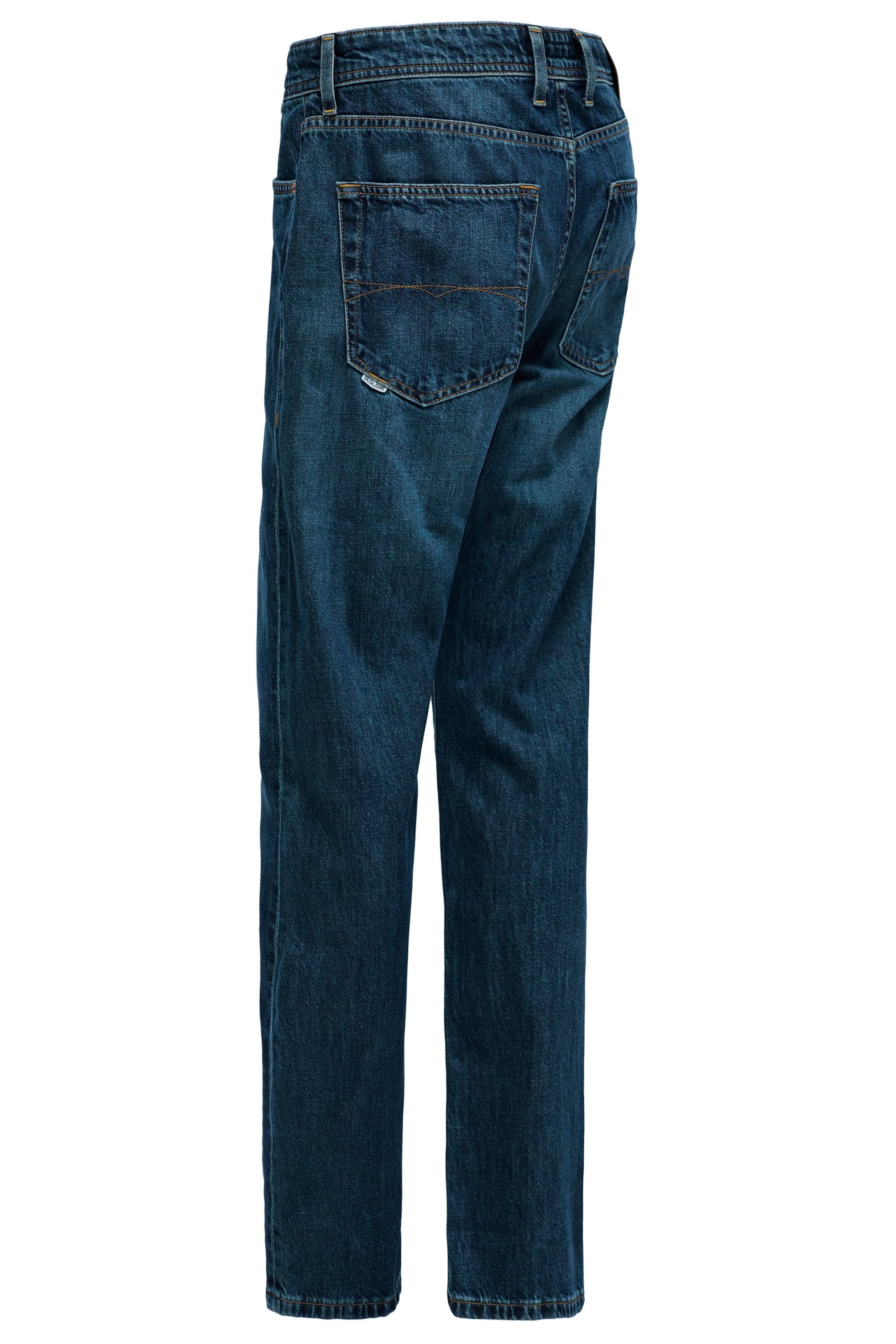 Salsa Jeans Regular Jeans in Blauw