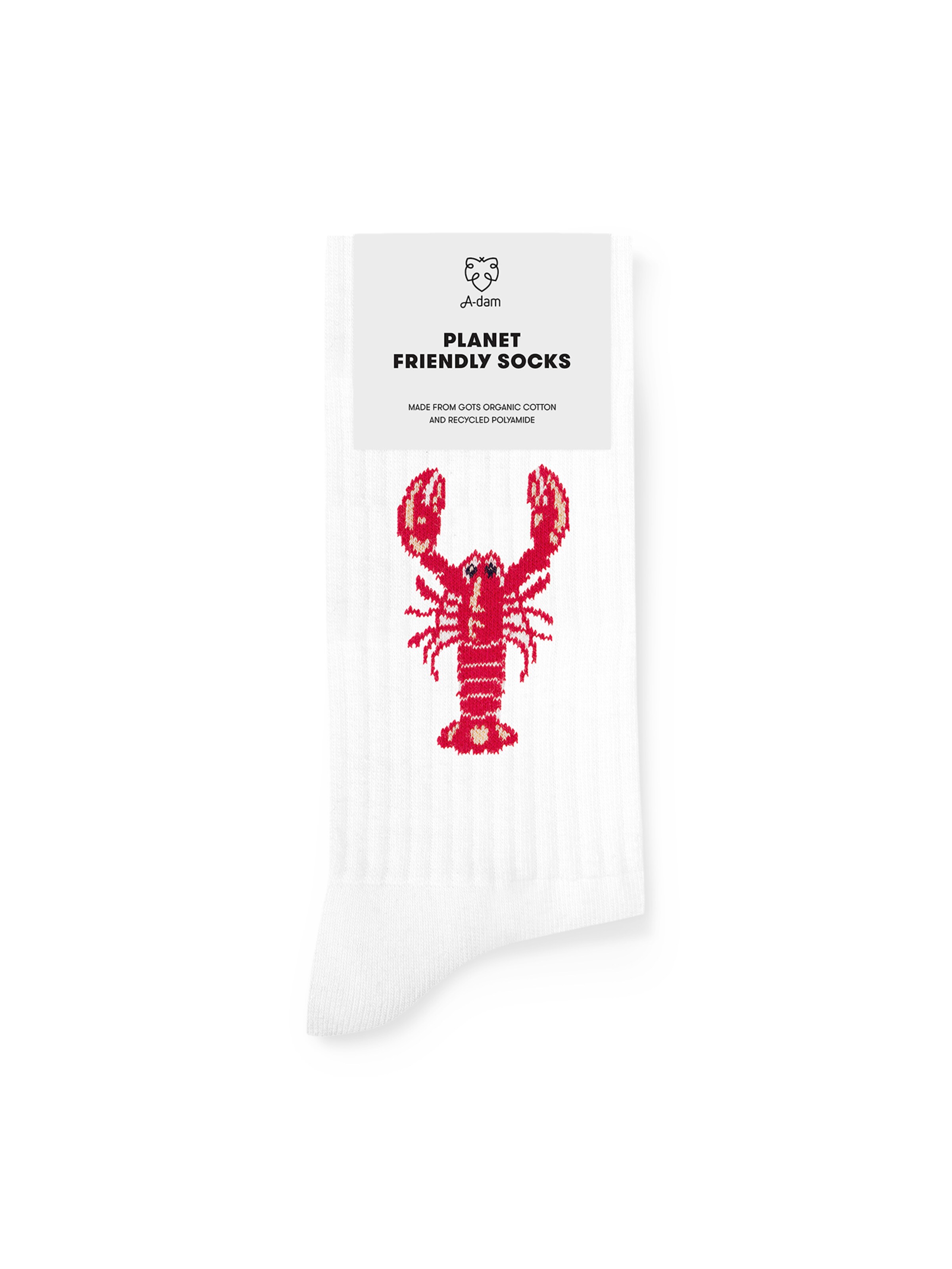 A-dam Socks 'White Lobster' in White