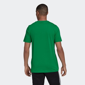 ADIDAS ORIGINALS Shirt 'Adicolor Classics Trefoil' in Green