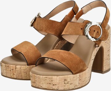 Nero Giardini Sandals in Brown