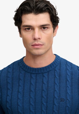 Superdry & Co Sweater in Blue