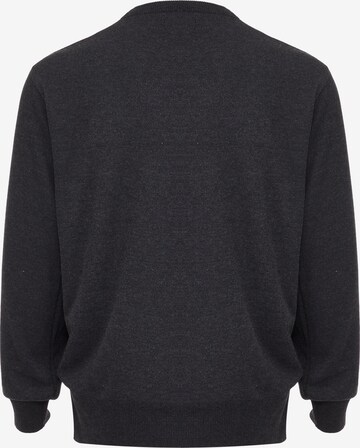 baradello Sweater in Grey