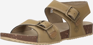 TIMBERLAND Sandals 'Castle Island' in Beige: front