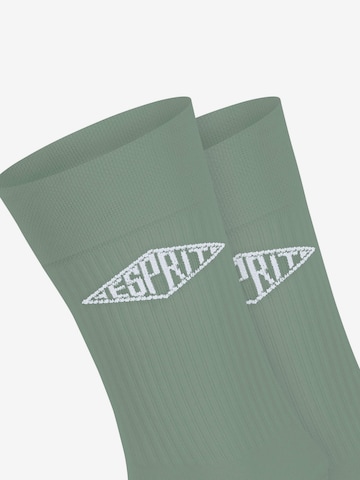 ESPRIT Socken 'Unisex Logo 2-Pack' in Grau: Vorderseite