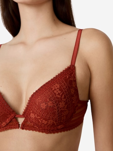 ETAM Push-up Bra 'Aura' in Brown
