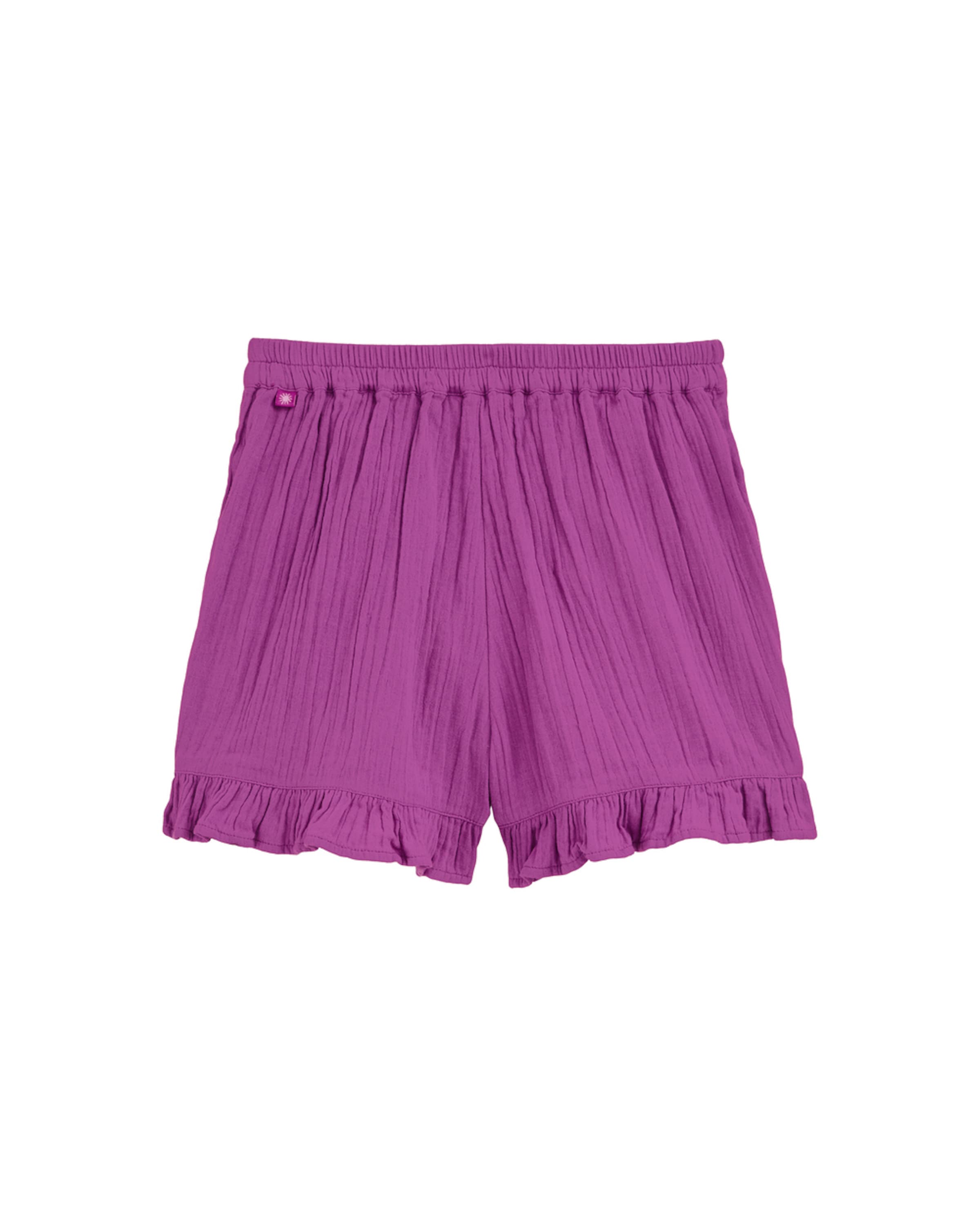 WE Fashionregular Hlače - ljubičasta boja: prednji dio