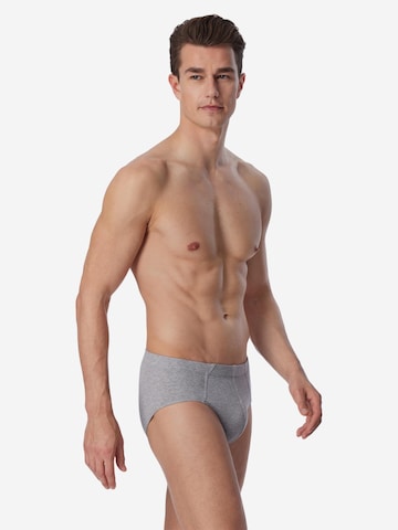 SCHIESSER Slip '95/5 Essentials - Organic Cotton' in Gemengde kleuren