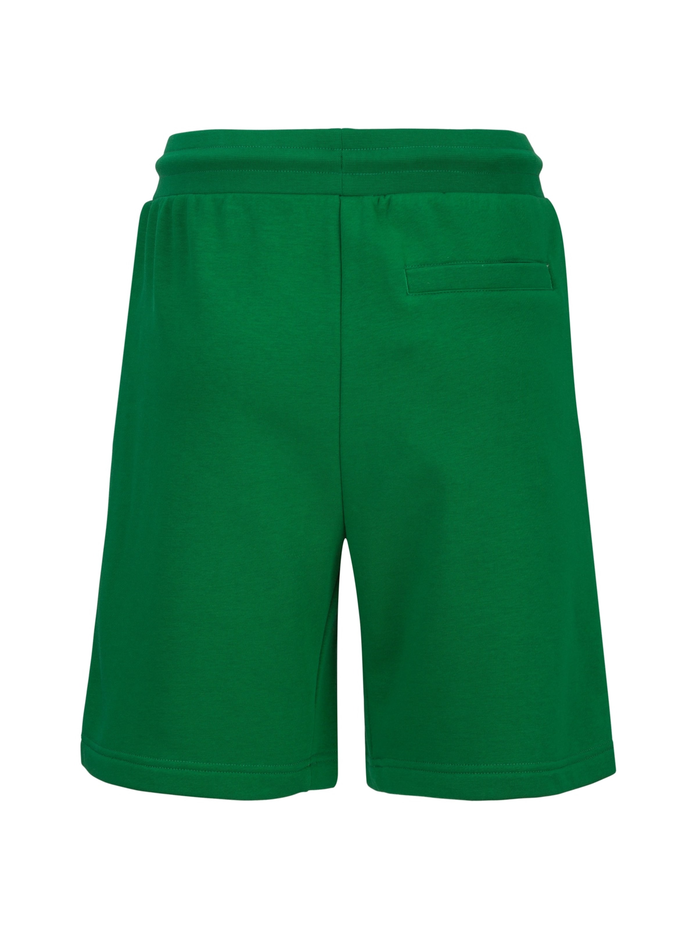 19V69 ITALIA Regular Broek 'Sergio' in Groen