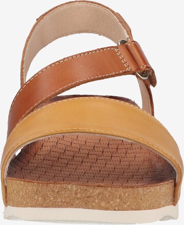 PIKOLINOS Strap Sandals in Brown