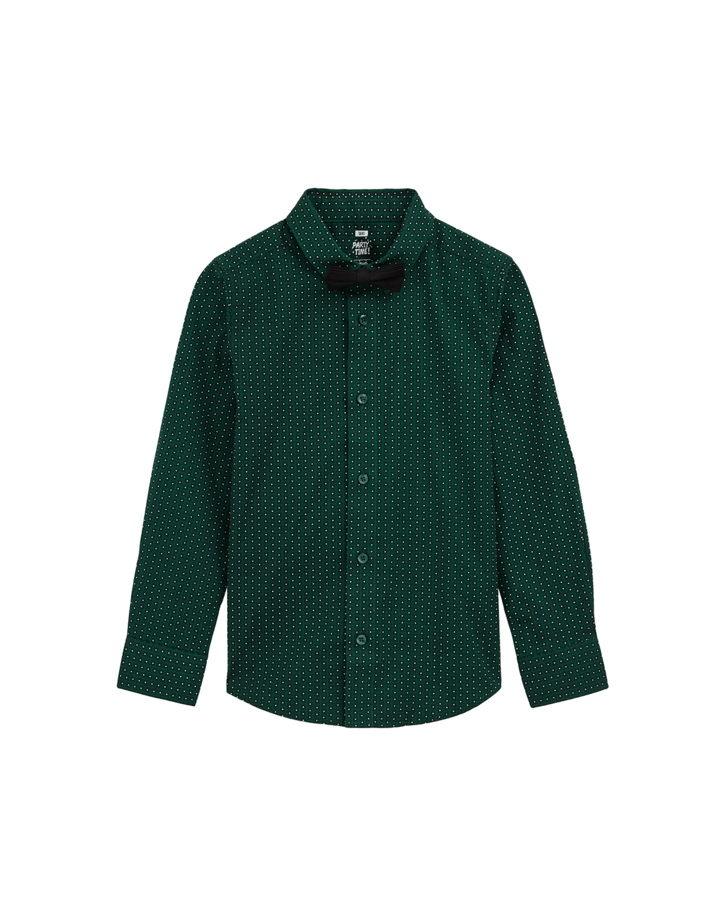 WE Fashion Regular fit Skjorta i grön: framsida