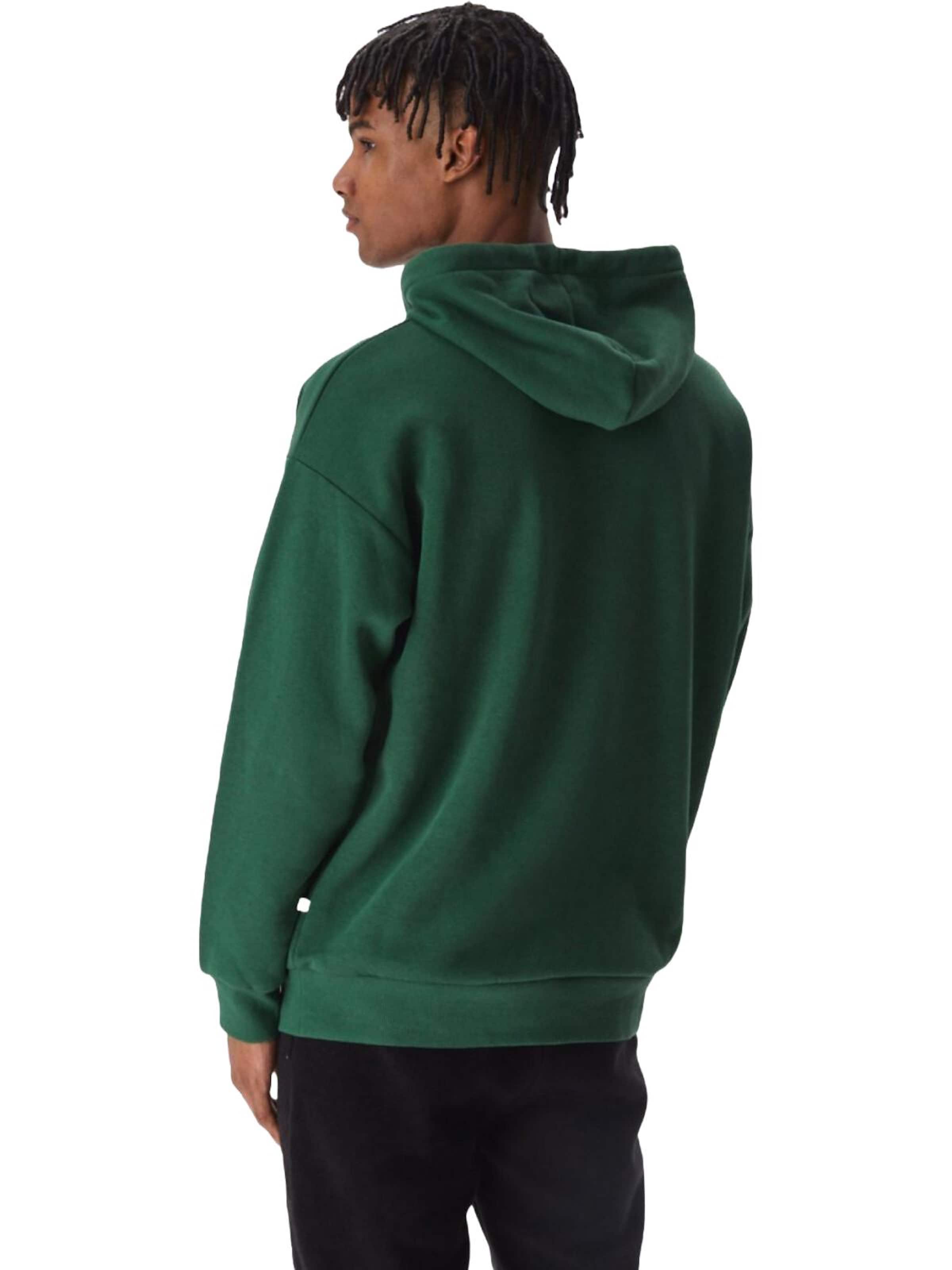 LTB Jeans Sweatshirt 'Herren' in Green
