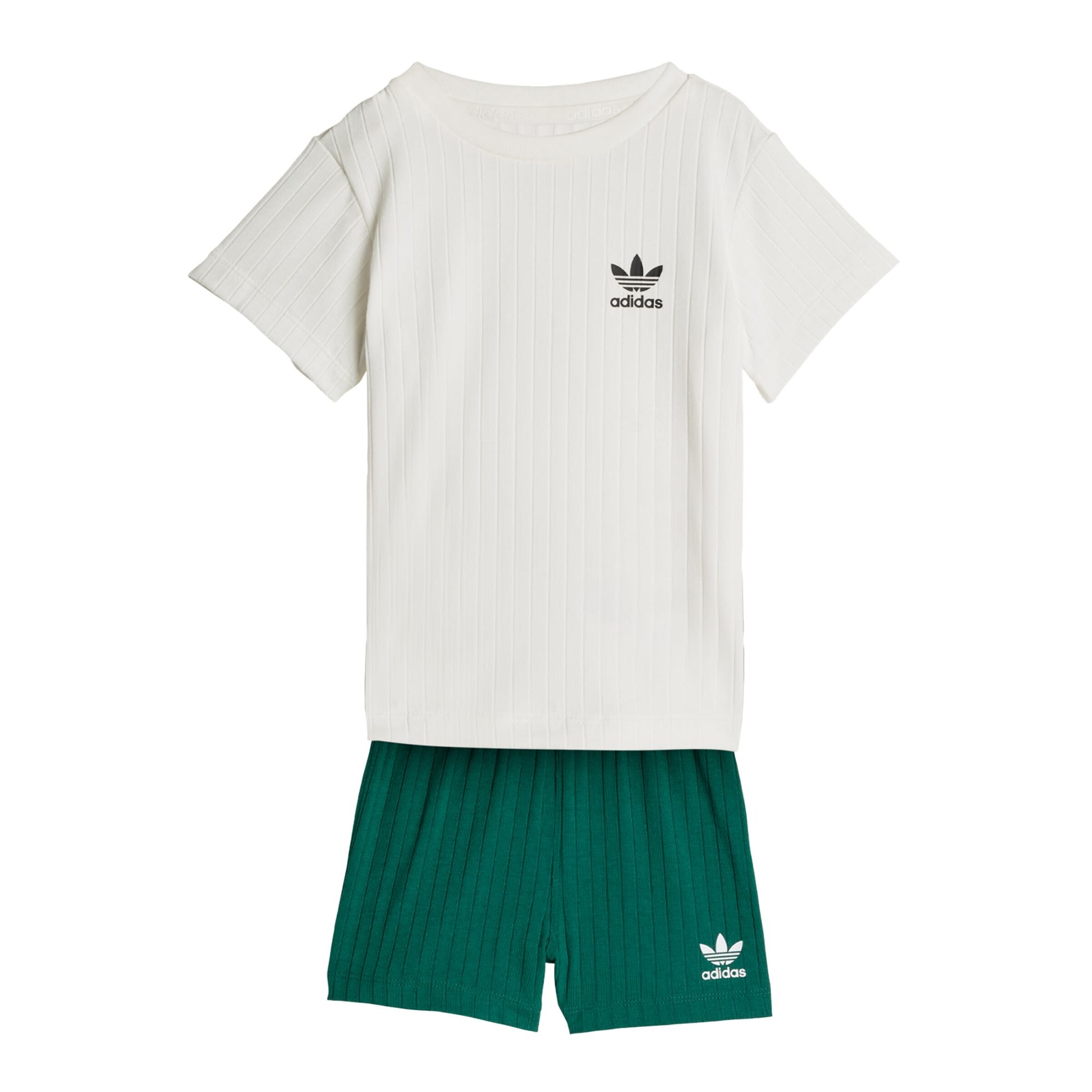 ADIDAS ORIGINALS - Conjunto 'REGULAR WIDE RIB SHORT T-SHIRT' en blanco: frente