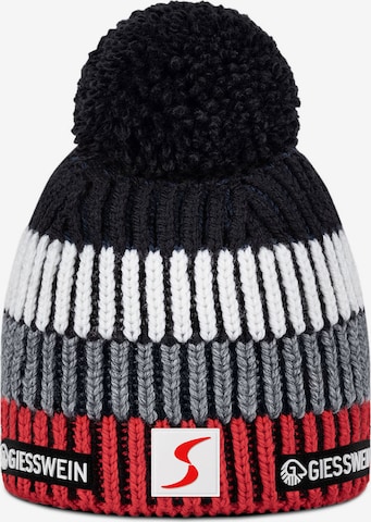 GIESSWEIN Beanie in Mixed colors: front