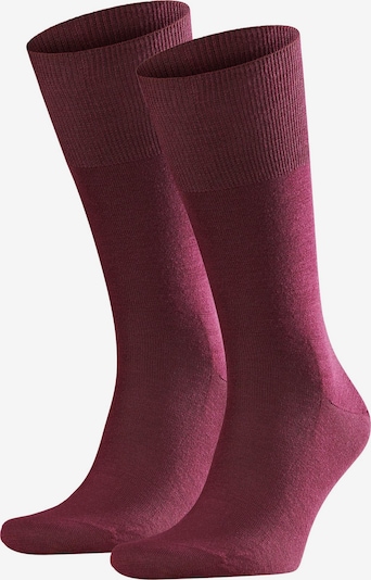 FALKE Sokken in de kleur Bordeaux, Productweergave