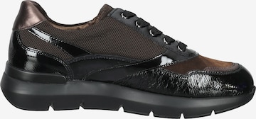 HASSIA Sneaker in Schwarz