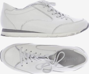 SEMLER Sneakers & Trainers in 34,5 in White: front