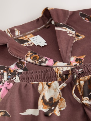 Next - Pijama de pantalón corto en marrón