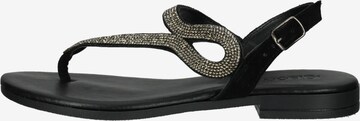 IGI&CO T-Bar Sandals in Black