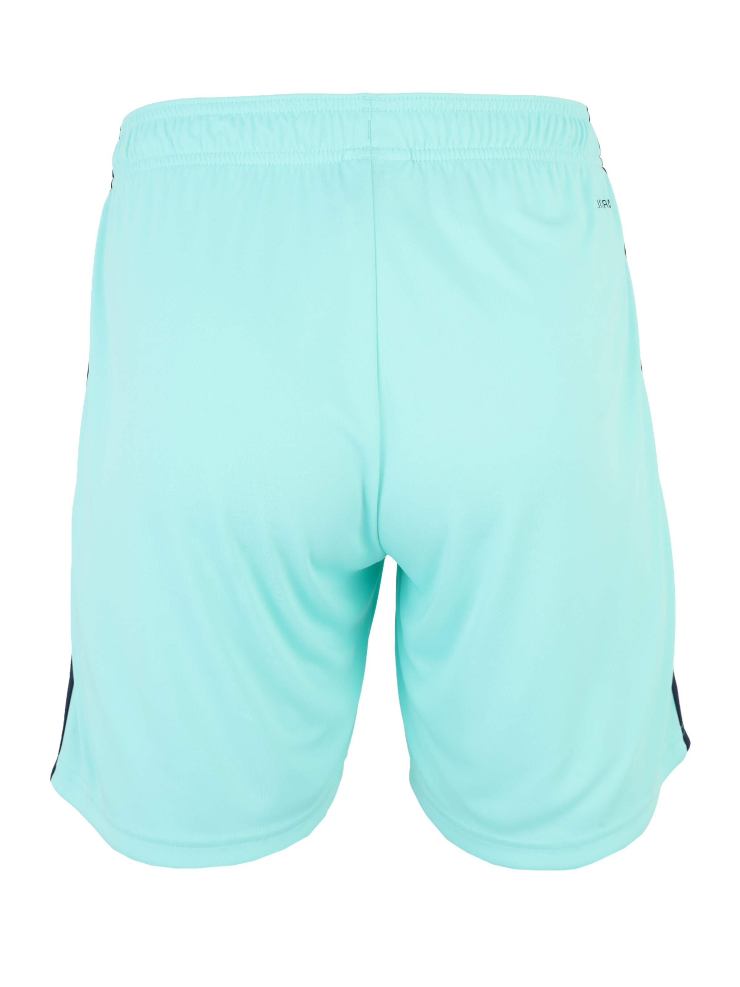 ADIDAS PERFORMANCE Wide Leg Sportshorts 'DFB' in Blau