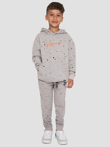 Threadboys Sweatshirt 'Minnesota' in Grey