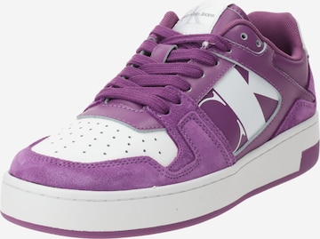 Baskets basses Calvin Klein Jeans en violet : devant