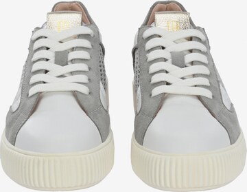 Crickit Sneaker low 'OTIS ' in Grau