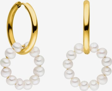 PURELEI Earrings 'Honu' in Gold: front
