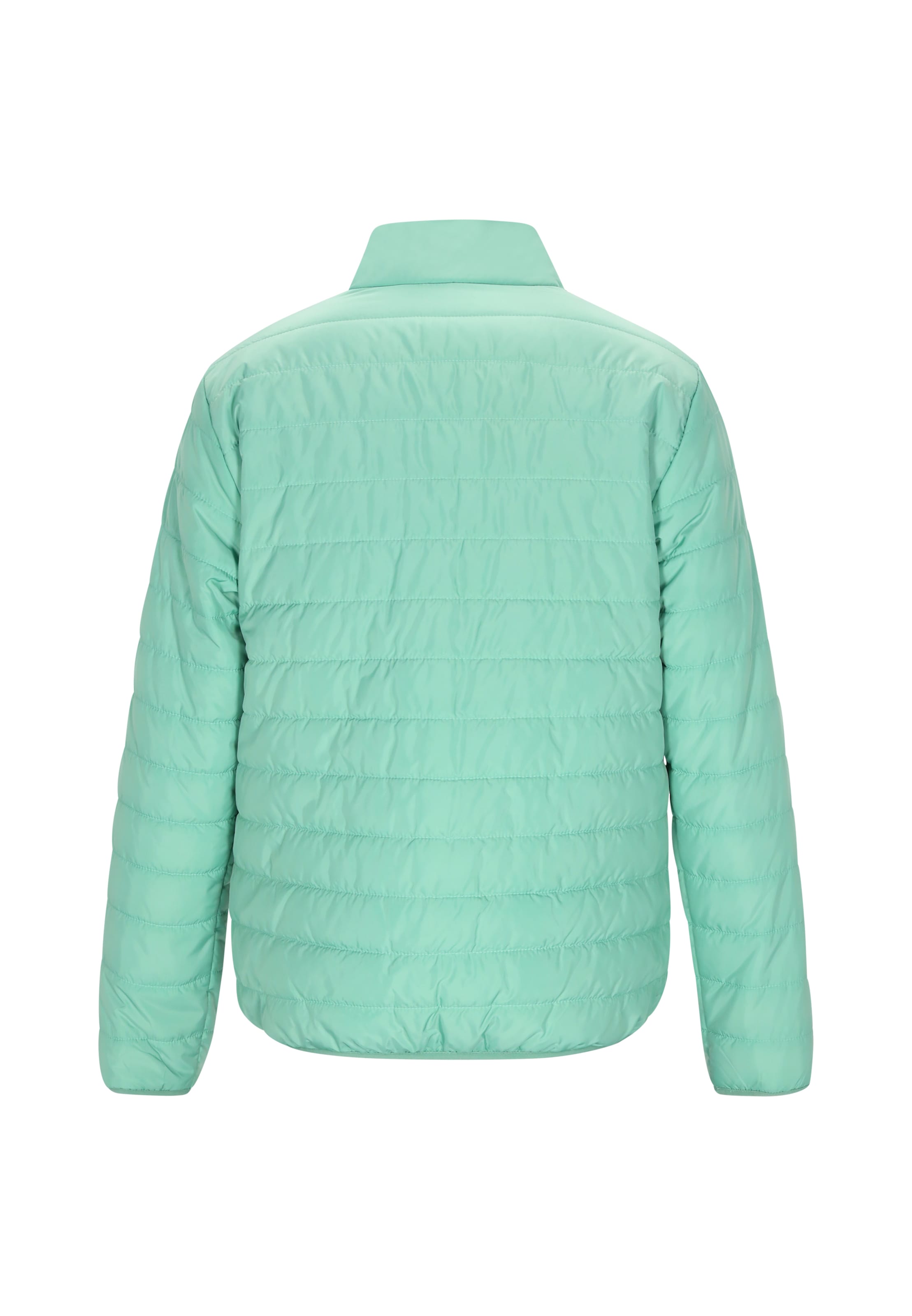 Reiswood Демисезонная куртка в Зеленый