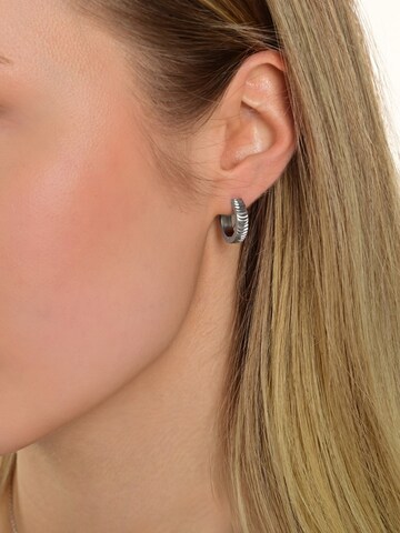 Akzent Earrings 'Timmy, Ionenplattierung' in Silver: front