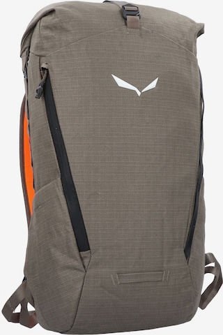 SALEWA Sports Backpack in Brown