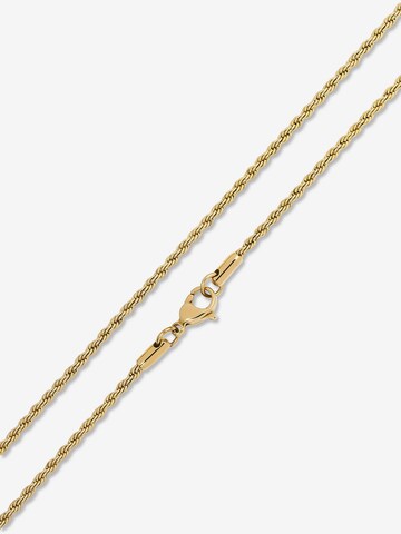 FAVS Kette in Gold