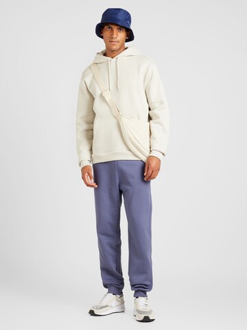 HOLLISTER Sweatshirt in Beige