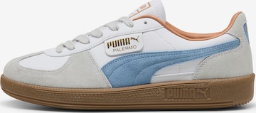 PUMA Sneakers 'Palermo' in White: front