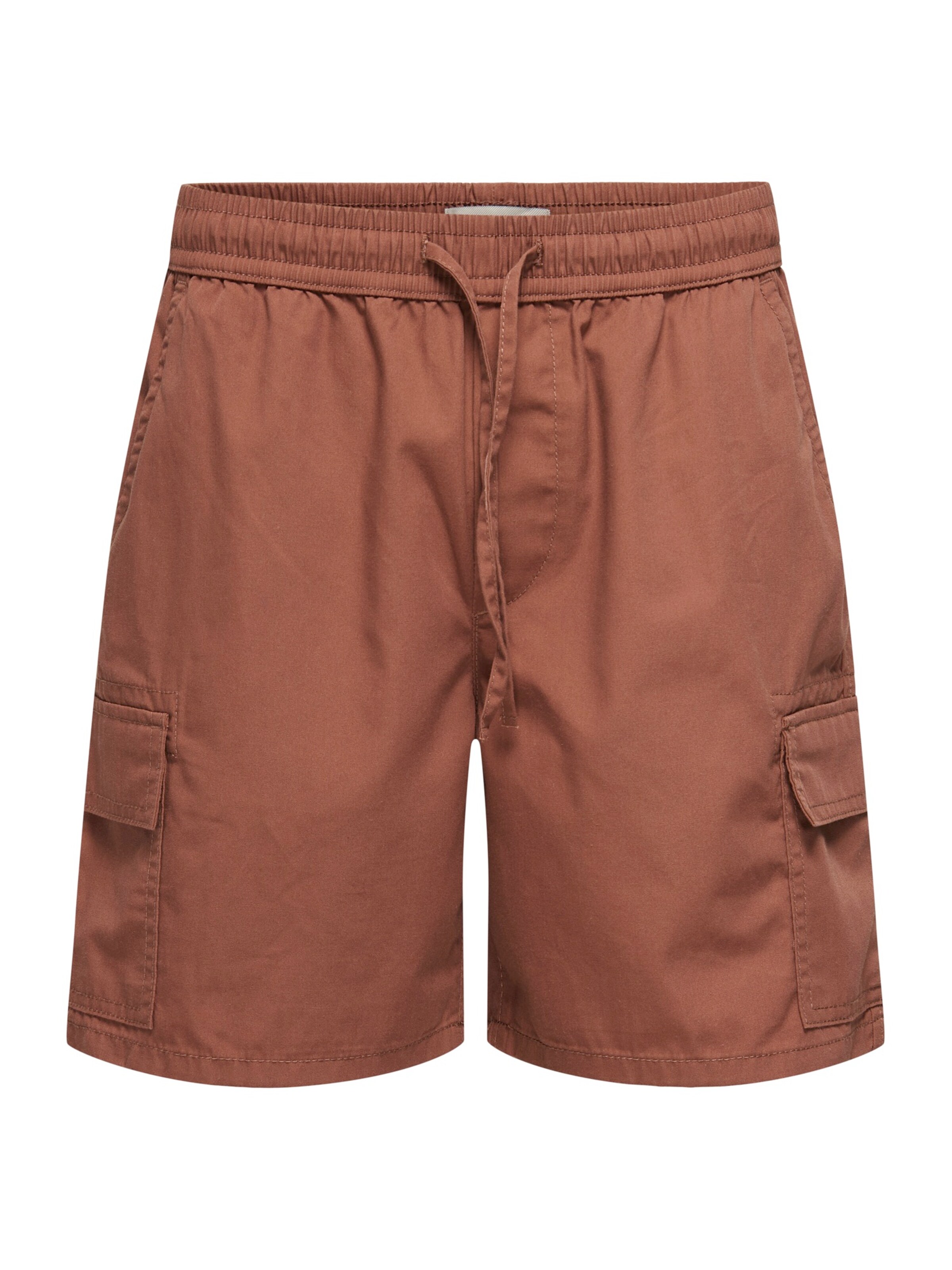 Only & Sons Cargo Pants 'ONSKAL' in Brown: front
