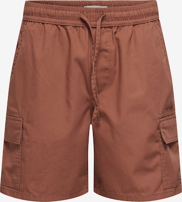 Only & Sons Cargo Pants 'ONSKAL' in Brown: front