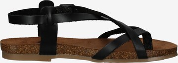 COSMOS COMFORT Strap Sandals in Black