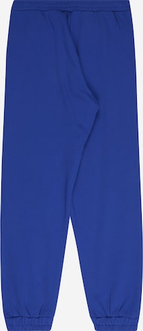 N°21 Tapered Hose in Blau