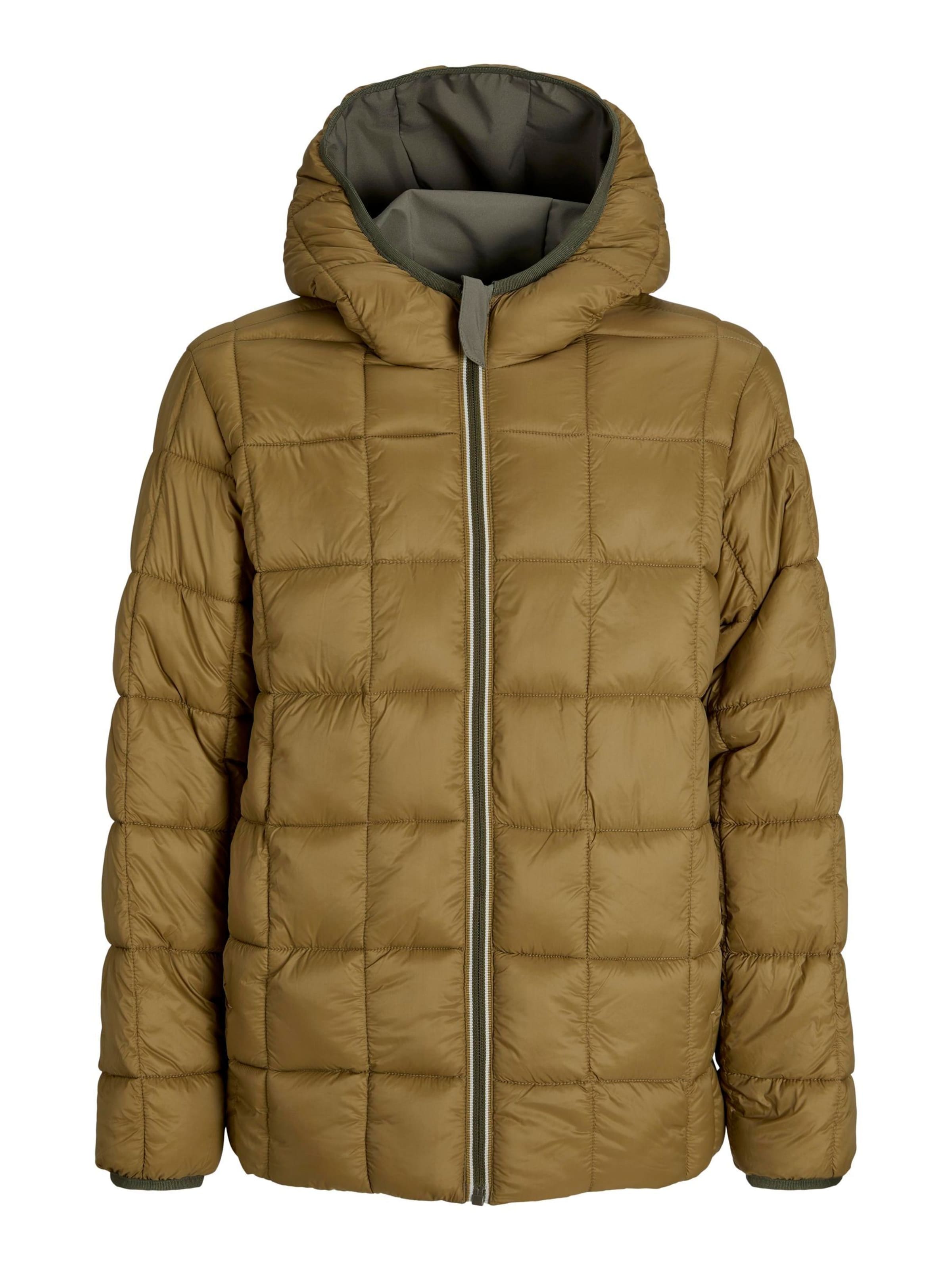 Veste d’hiver 'JJEBrook' JACK & JONES en vert