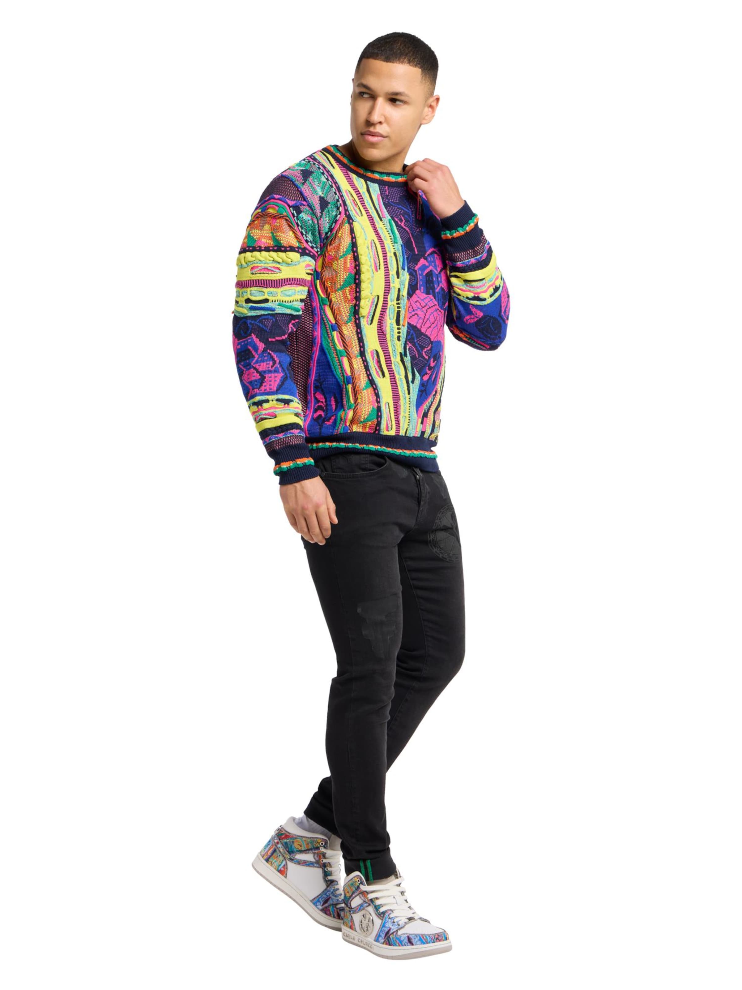 Carlo Colucci Pullover 'Eberhoefer' in Mischfarben