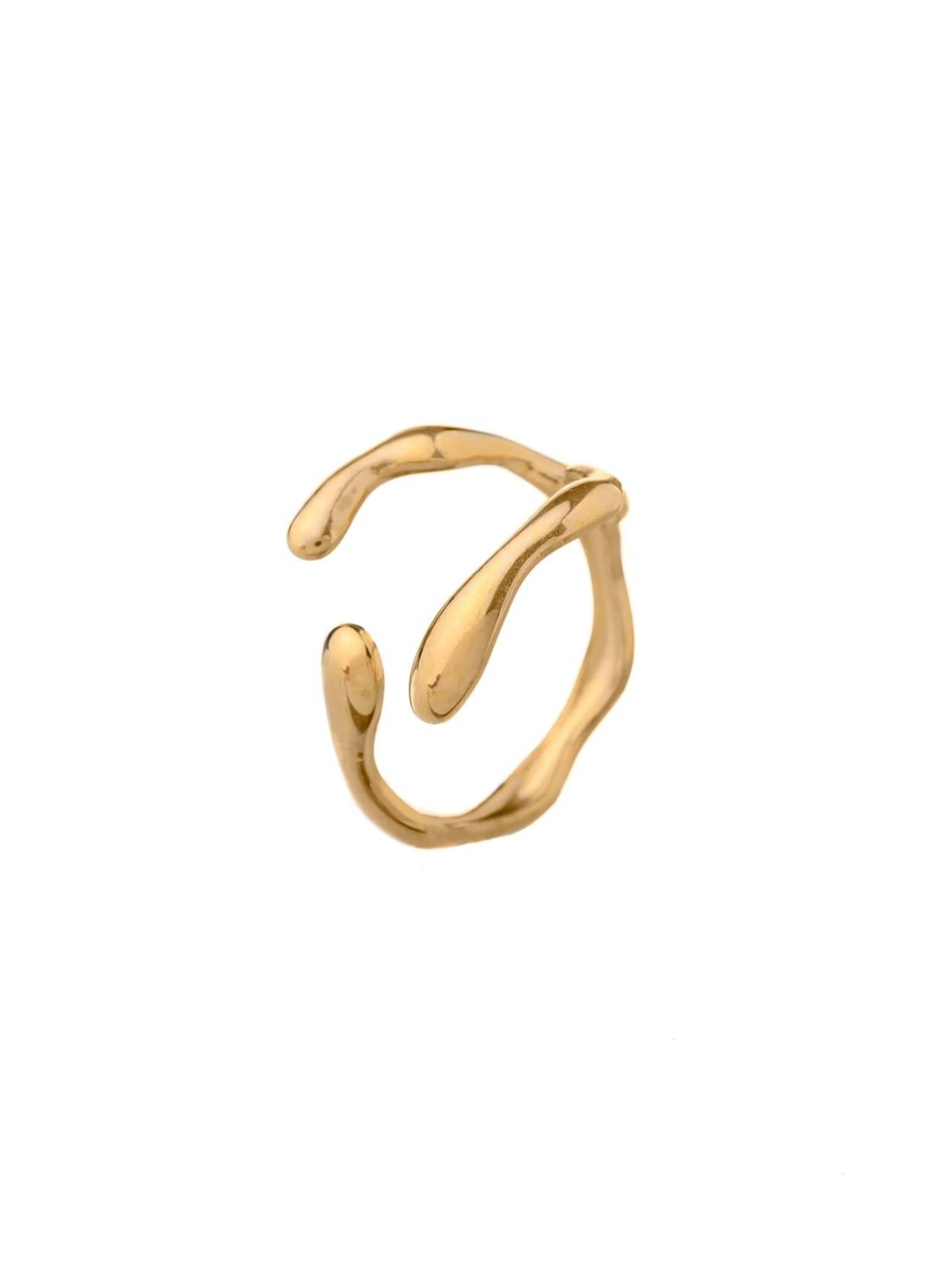 THE GEM STORIES JEWELRY - Anillo 'Stainless Steel Geometric Trend Band Ring' en oro: frente