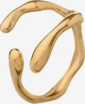 THE GEM STORIES JEWELRY - Anillo 'Stainless Steel Geometric Trend Band Ring' en oro: frente