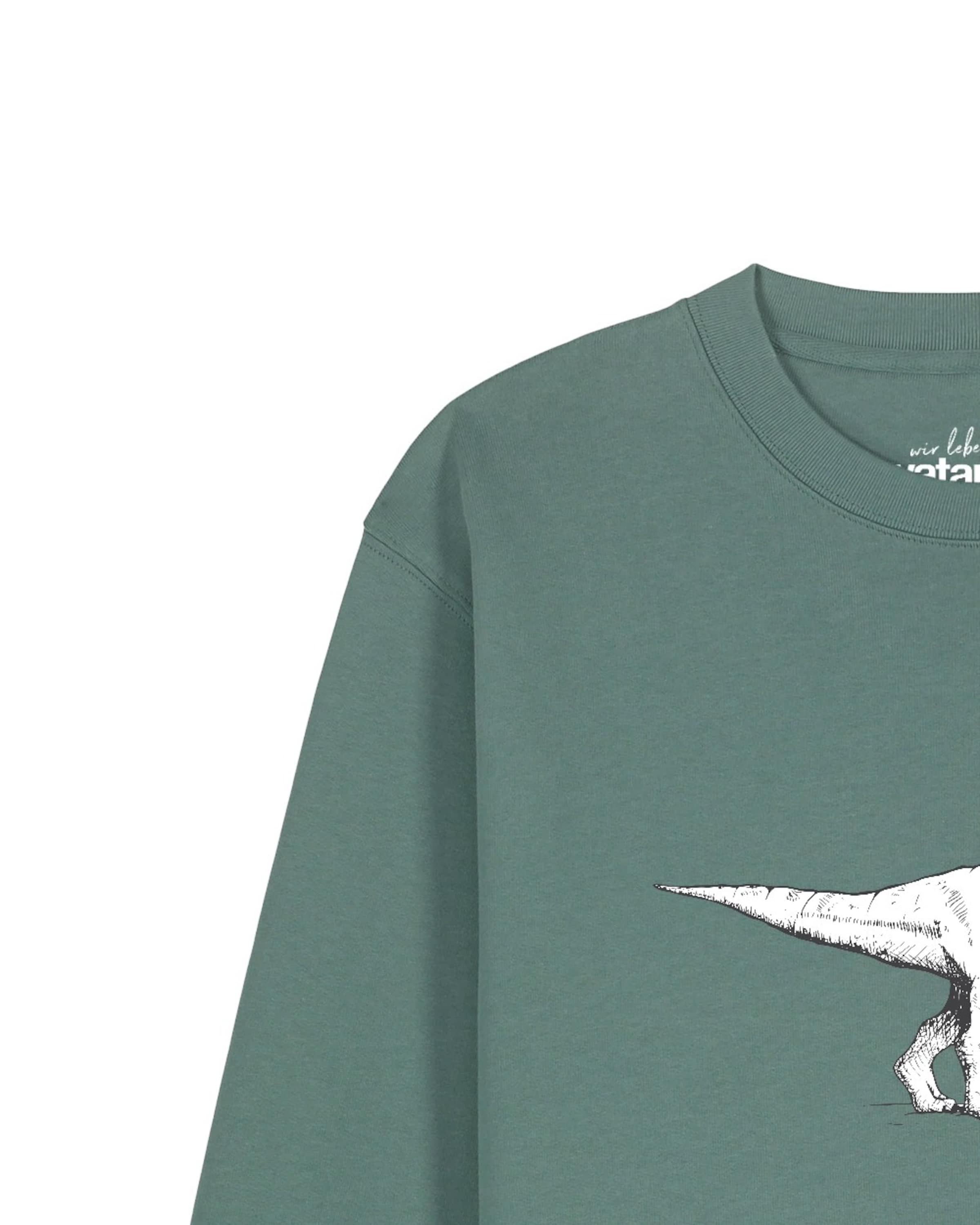 Watapparel Sweatshirt 'Astronaut On T-Rex' in Groen