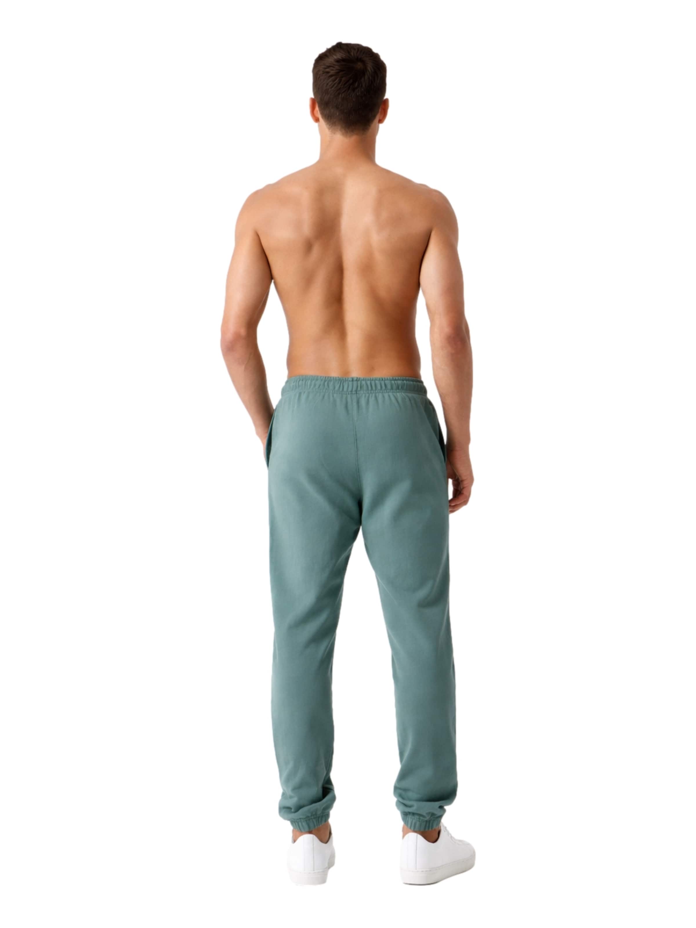 Regular Pantalon de sport BJÖRN BORG en vert