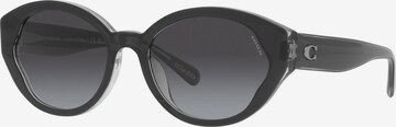 COACH Sunglasses in Black: front