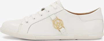 Kazar Sneakers in White: front