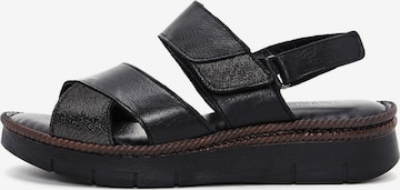 Derimod Strap sandal in Black: front