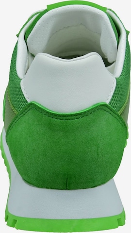 TT. BAGATT Sneakers in Green
