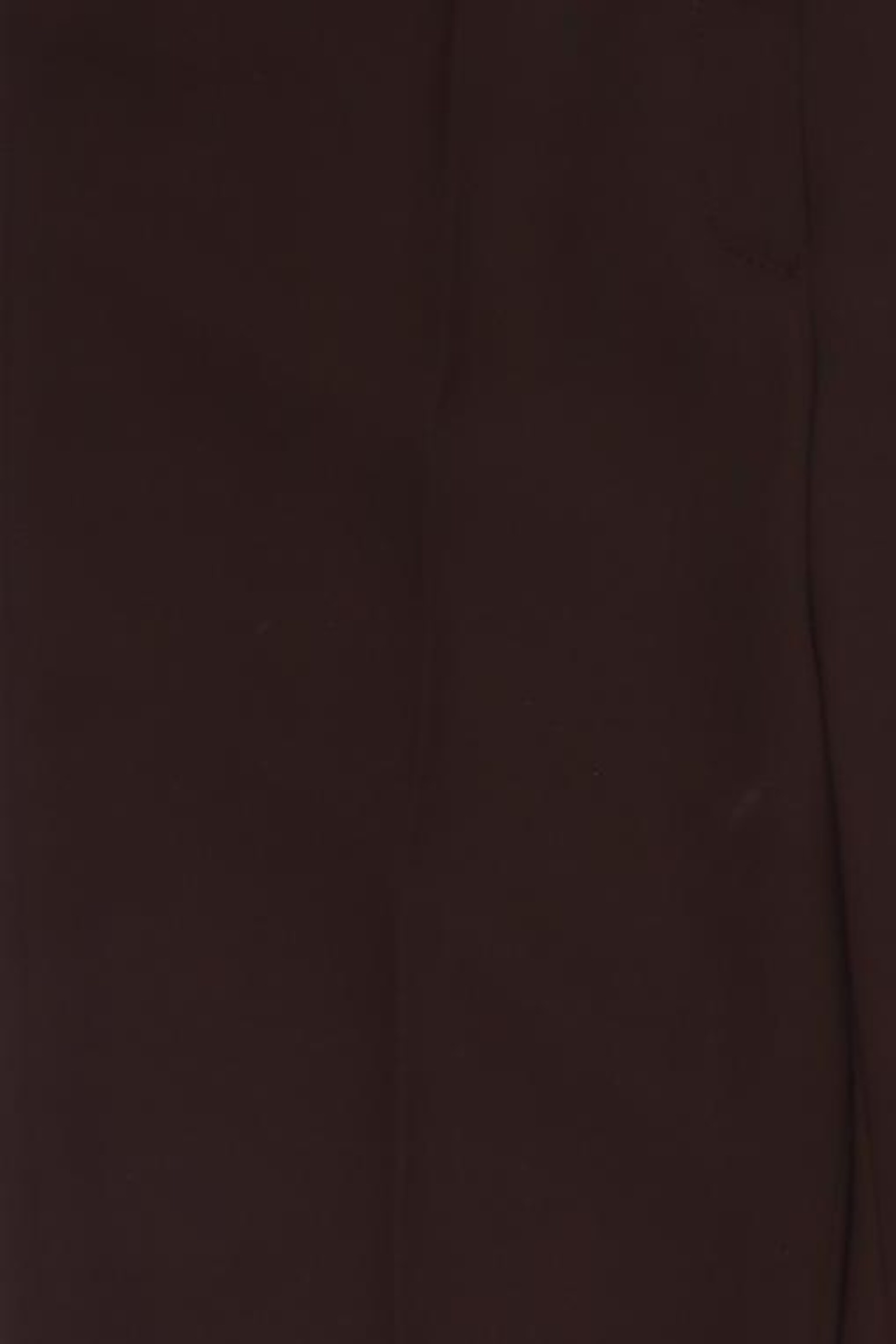APANAGE Pants in M in Brown