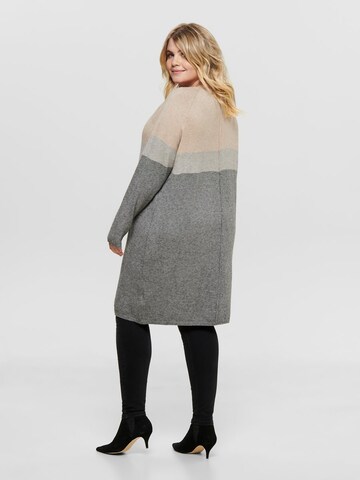 ONLY Carmakoma Knit dress 'Laura' in Brown