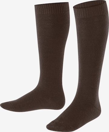 FALKE Socks 'Comfort Wool' in Brown: front